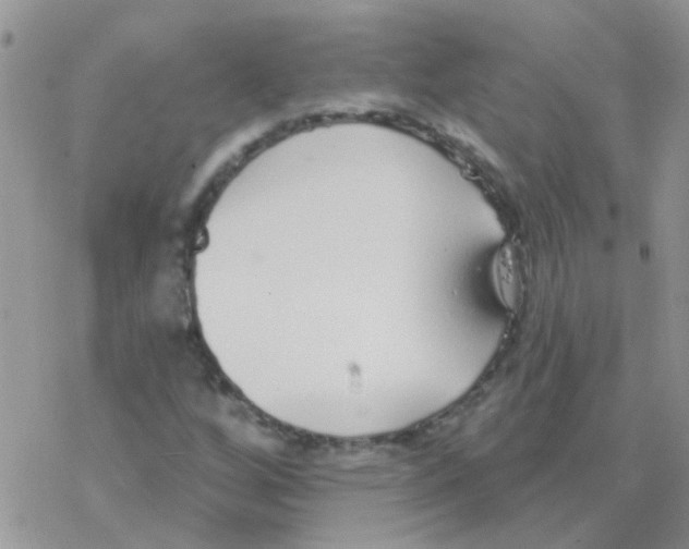 X0000077401256200611172055