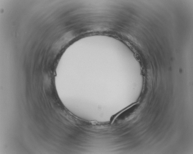 X0000077401257200611172055