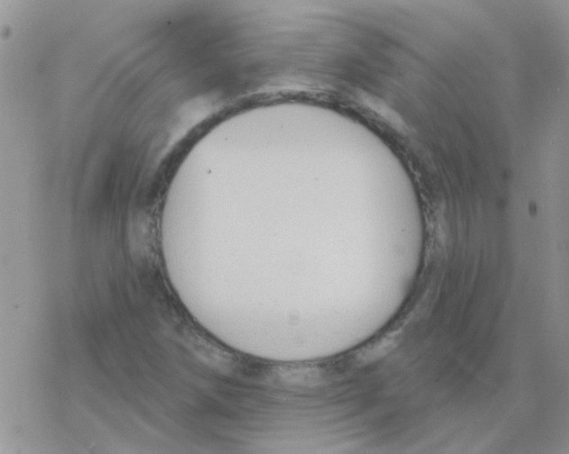 X0000077401258200611172055