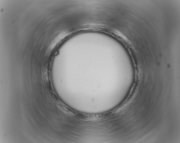 X0000077401259200611172055