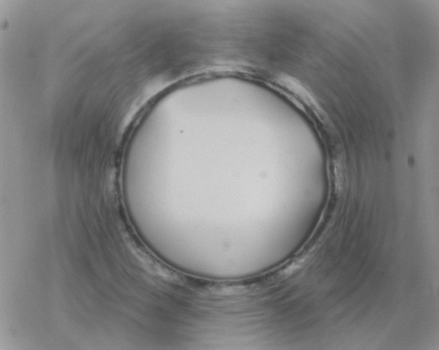 X0000077401260200611172055