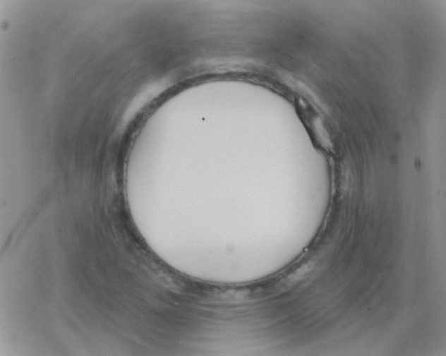 X0000077401261200611172055