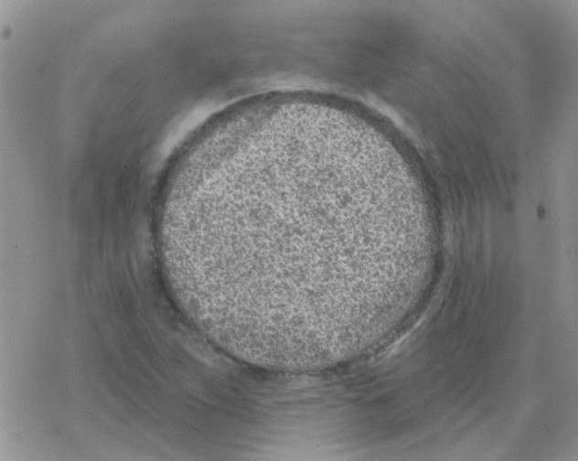 X0000077401263200611172055