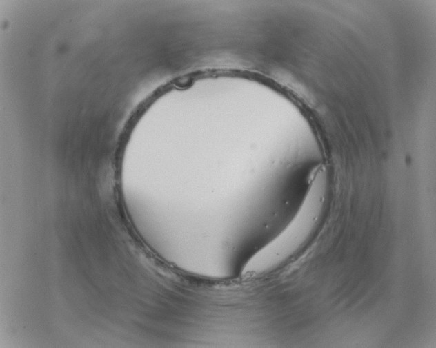 X0000077401264200611172055