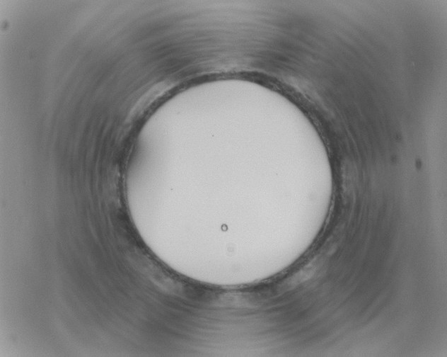 X0000077401265200611172055