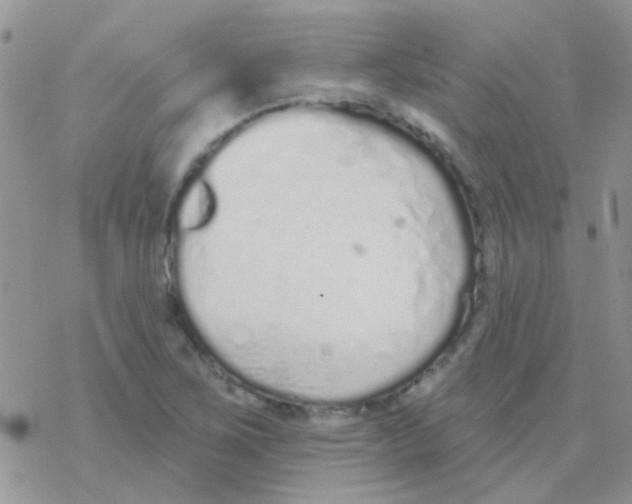 X0000077401267200611172055