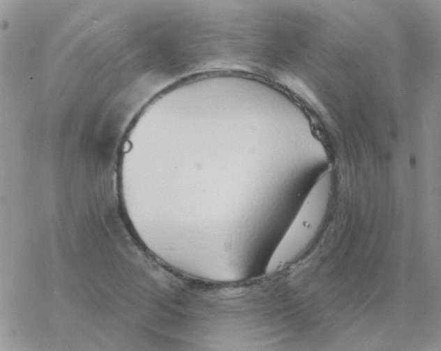 X0000077401268200611172055