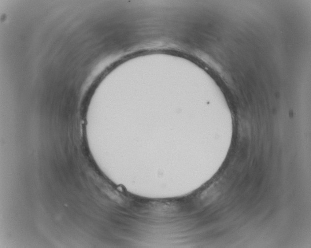 X0000077401270200611172055