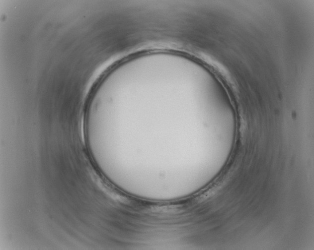 X0000077401272200611172055