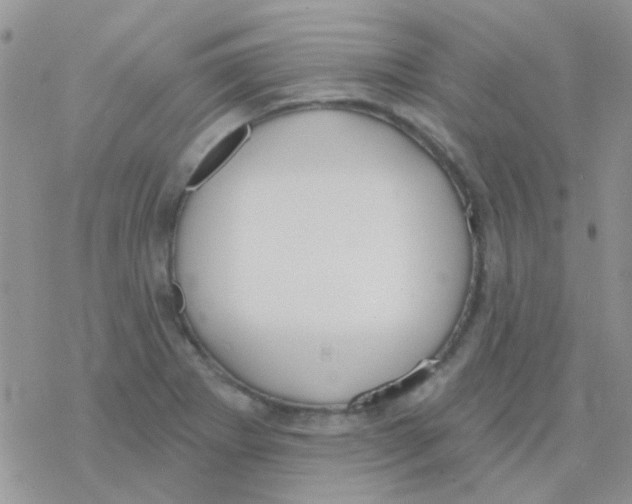 X0000077401273200611172055