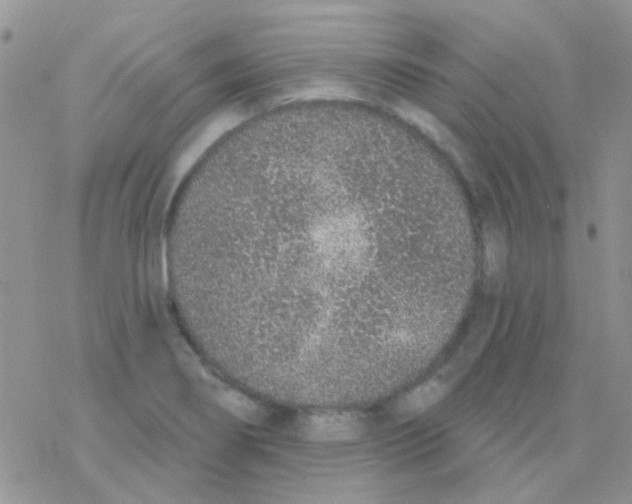 X0000077401274200611172055