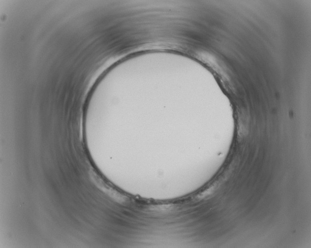 X0000077401276200611172055