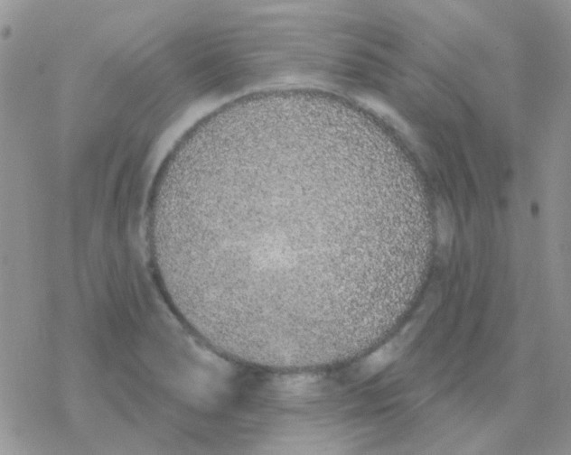 X0000077401278200611172055