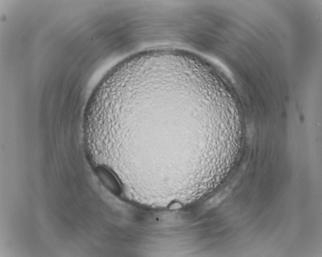 X0000077401279200611172055