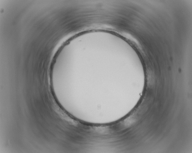 X0000077401280200611172055