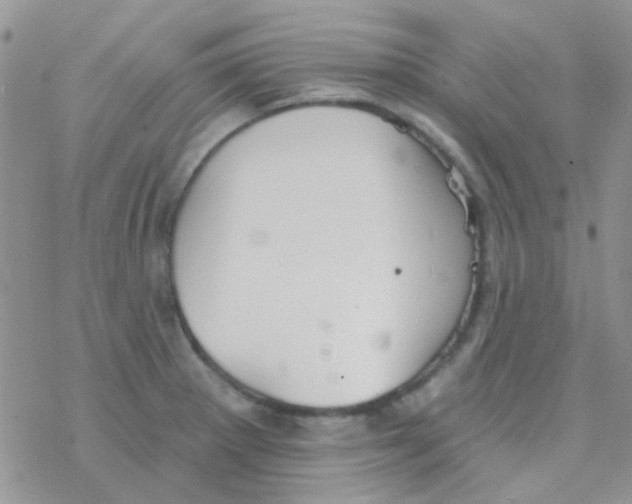 X0000077401281200611172055