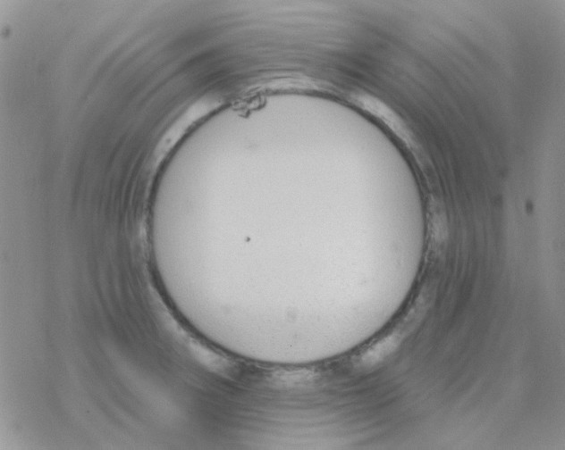 X0000077401282200611172055