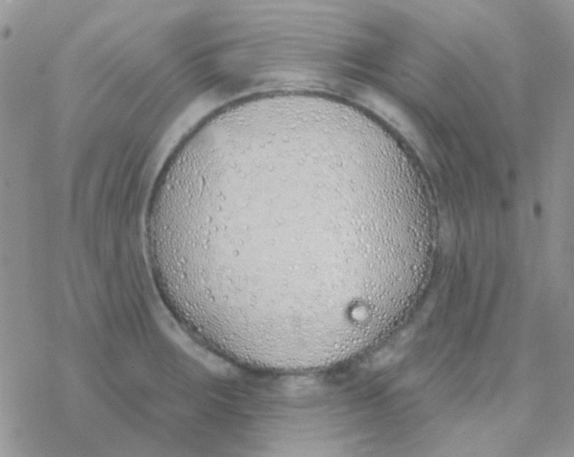 X0000077401283200611172055