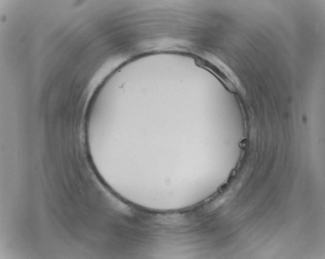 X0000077401285200611172055