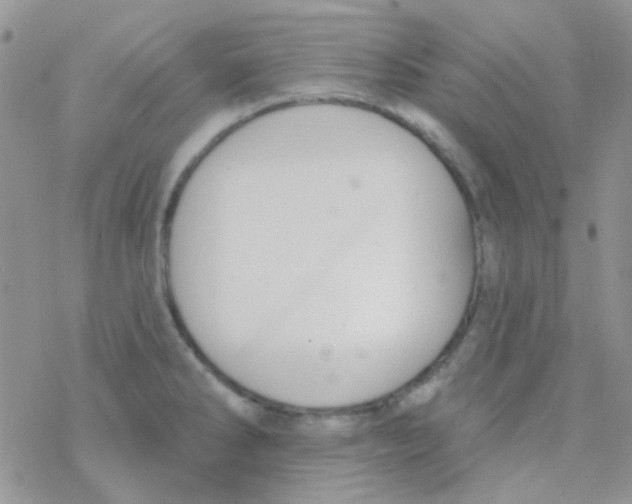 X0000077401286200611172055