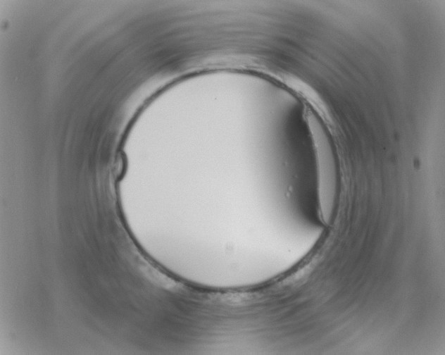 X0000077401288200611172055