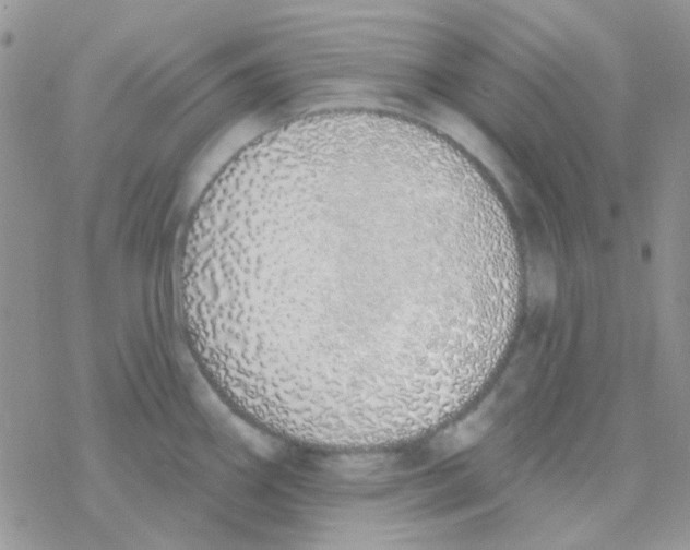 X0000077401290200611172055