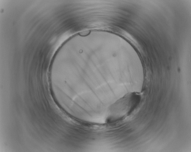 X0000077401291200611172055