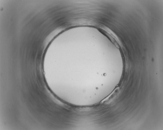 X0000077401293200611172054