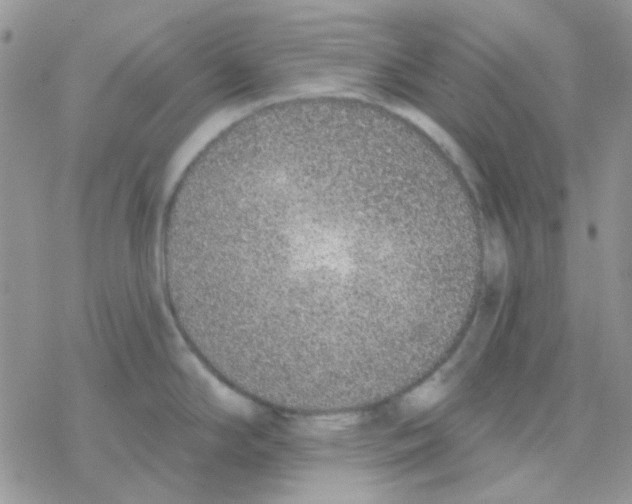 X0000077401294200611172054