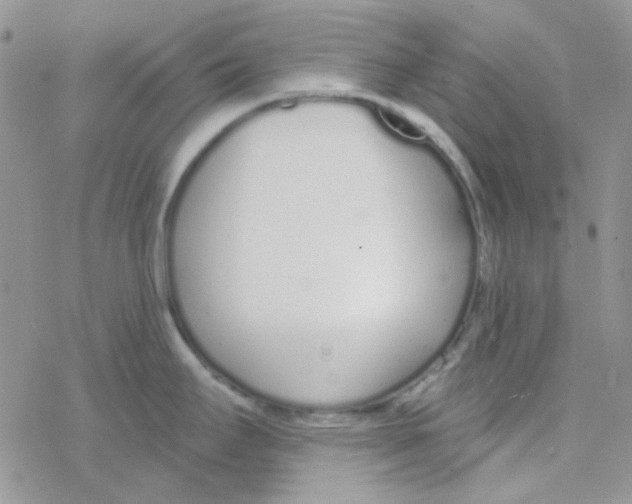 X0000077401295200611172054