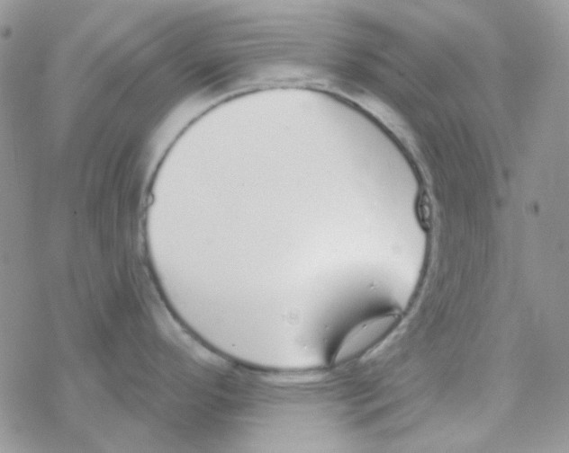 X0000077401296200611172054