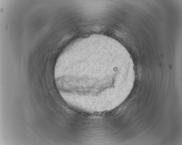 X0000077401297200611172054