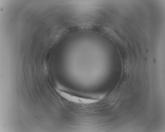 X0000077401298200611172054