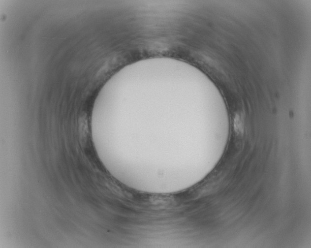 X0000077401299200611172054