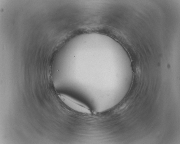 X0000077401300200611172054