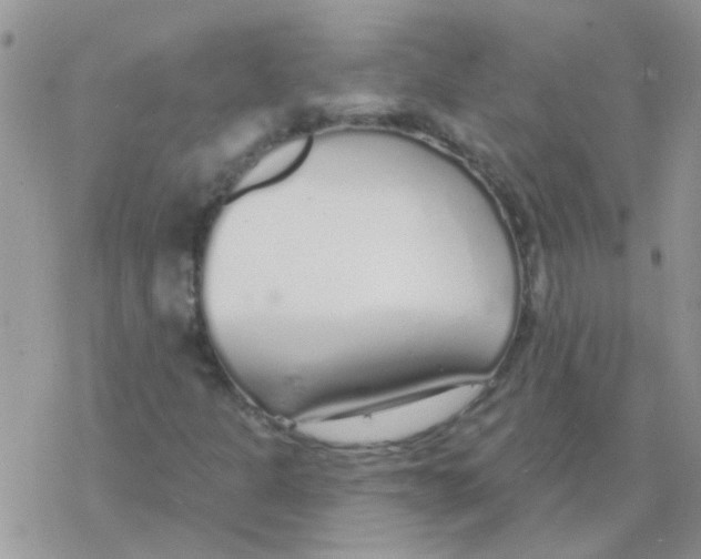 X0000077401301200611172054