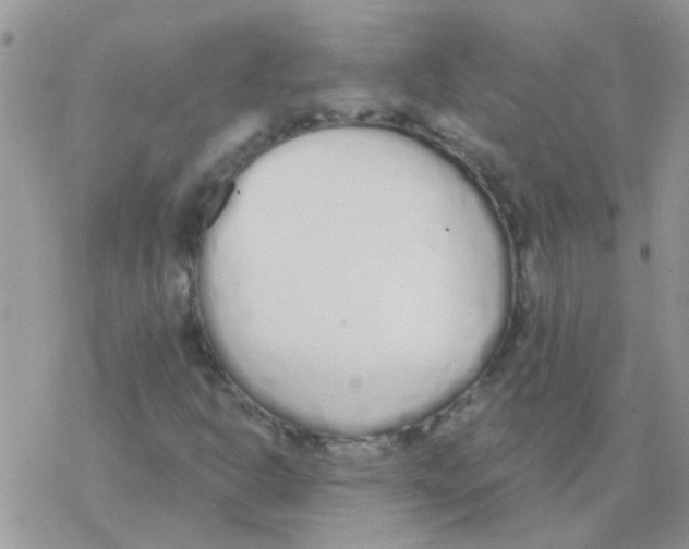 X0000077401302200611172054