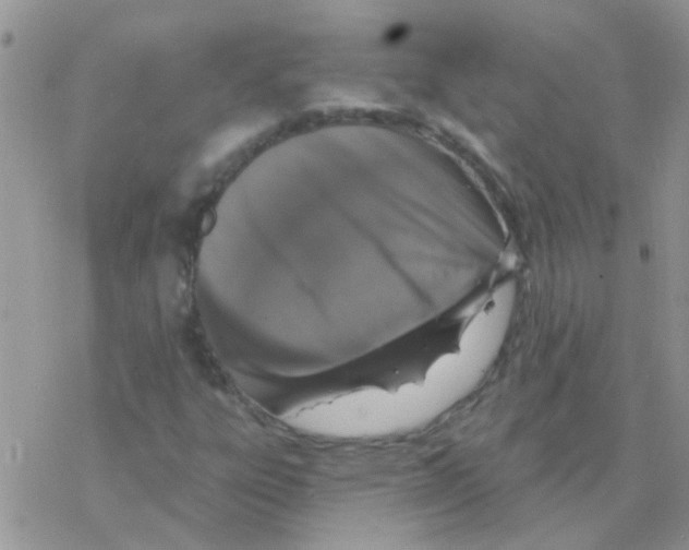 X0000077401303200611172054