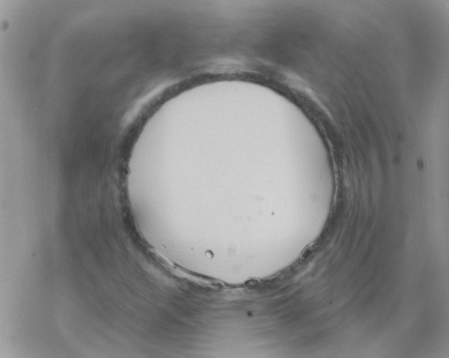 X0000077401304200611172054