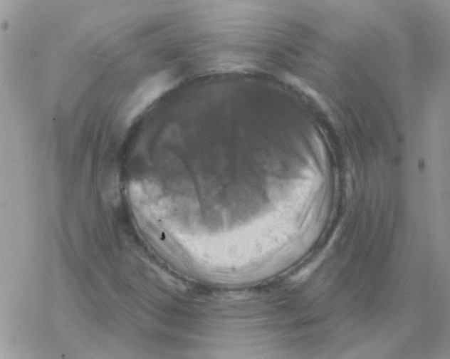 X0000077401306200611172054