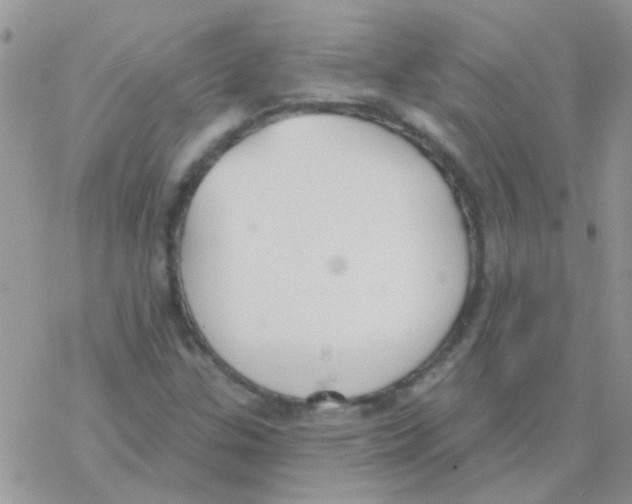 X0000077401307200611172054