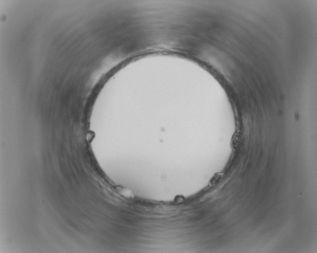 X0000077401308200611172054