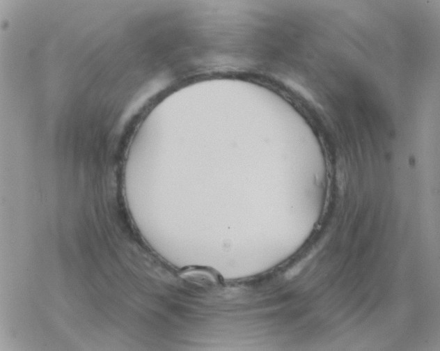 X0000077401309200611172054