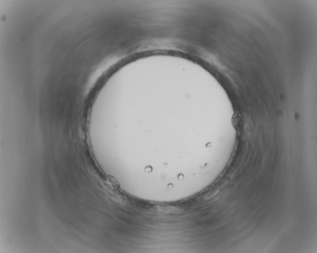 X0000077401312200611172054