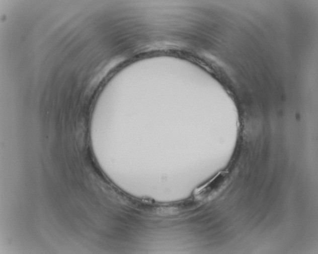 X0000077401313200611172054