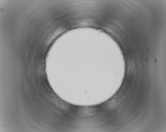 X0000077401314200611172054