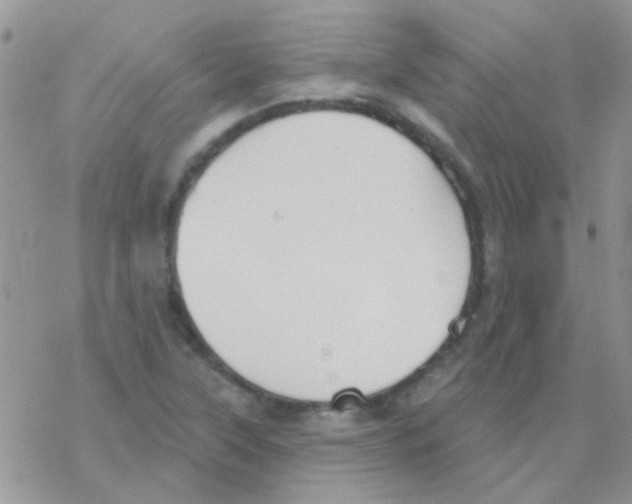 X0000077401315200611172054