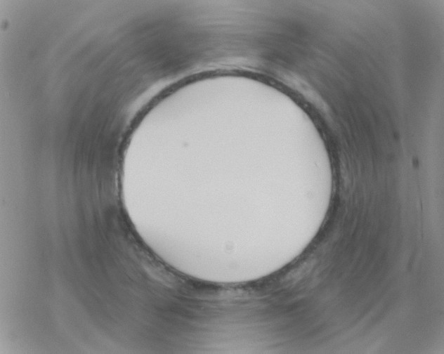 X0000077401316200611172054