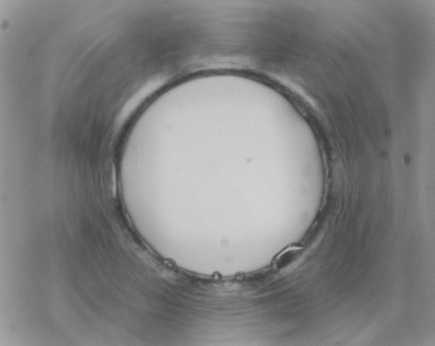 X0000077401317200611172054