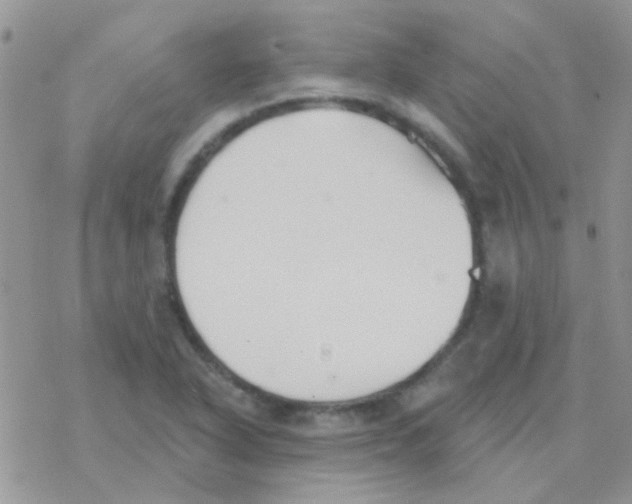 X0000077401318200611172054